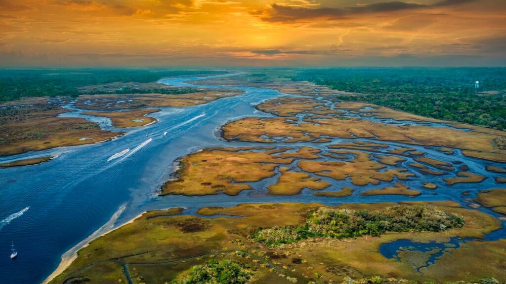 Aerial shot of the Florida Everglades