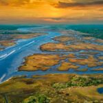 Aerial shot of the Florida Everglades
